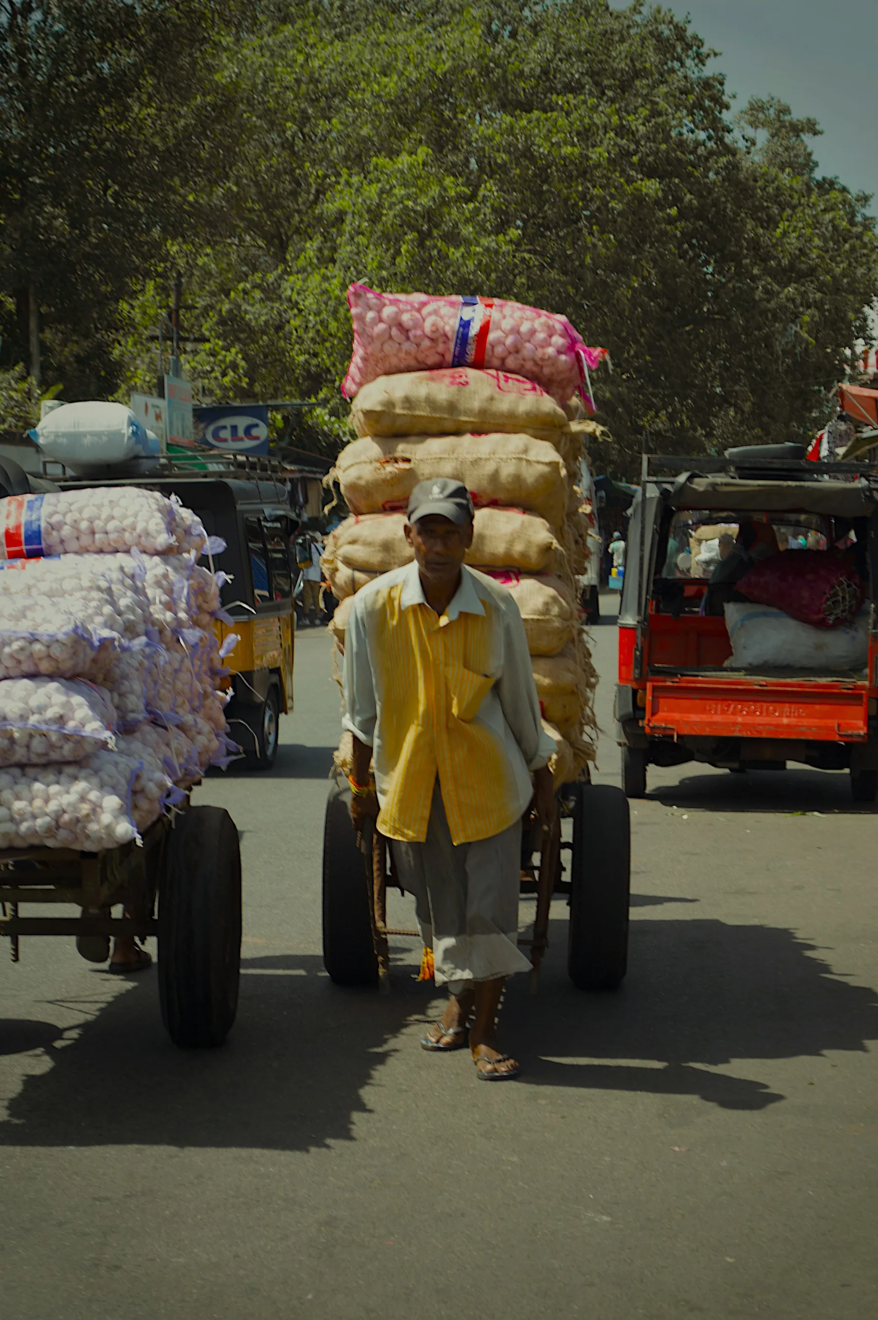 A worker moving produce through Pettah Market in Colombo