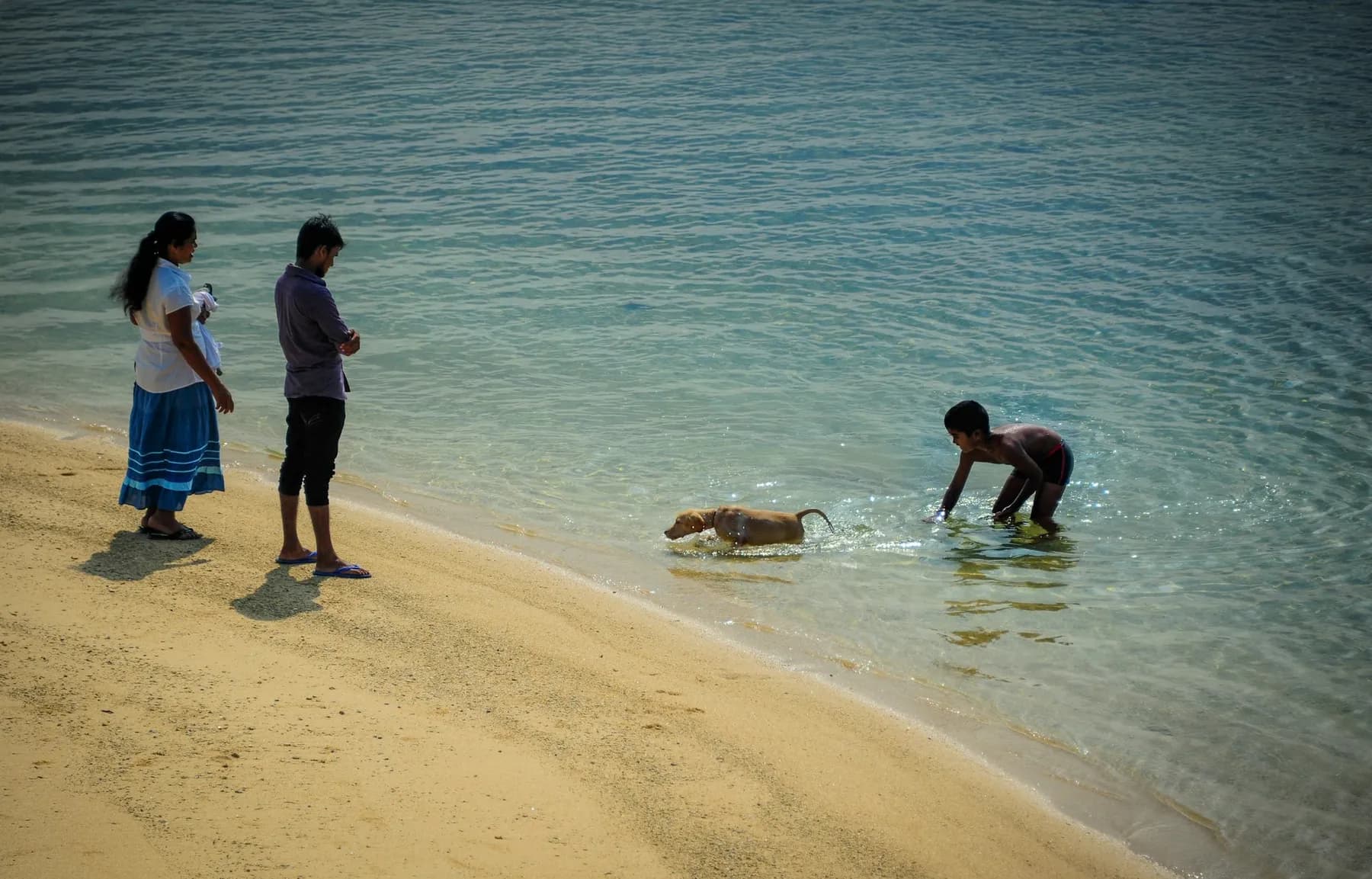 A Sri Lankan family and their dog at the beach in Galle