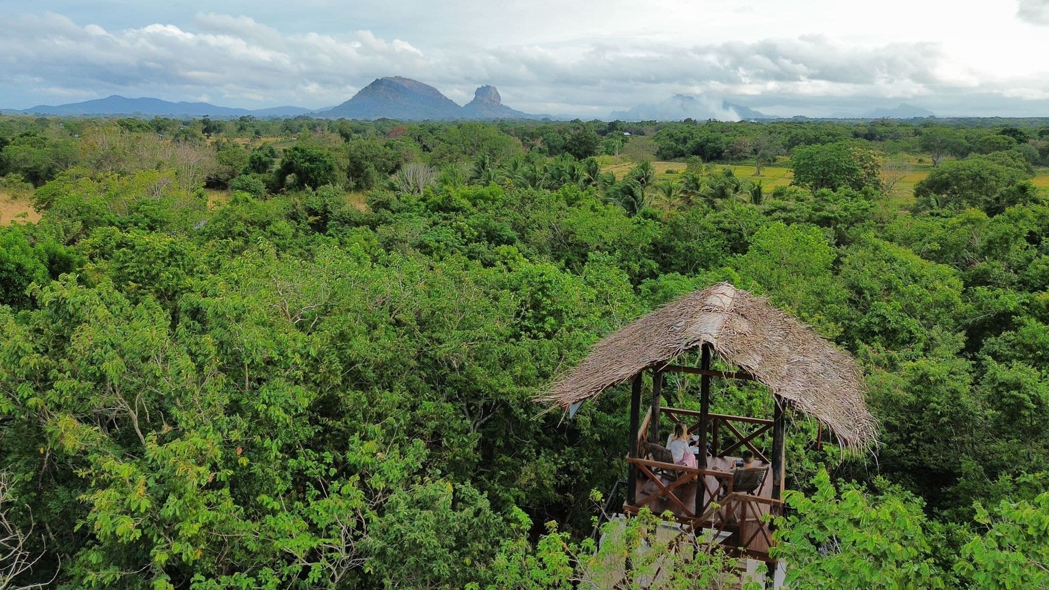 Tree Trails Sigiriya – Boutique Jungle Retreat with Sigiriya Views